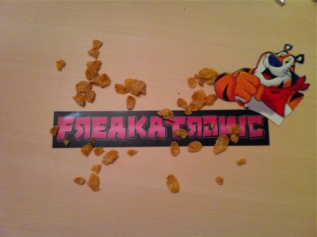 Freakatronic Sticker / Thx Timo! 